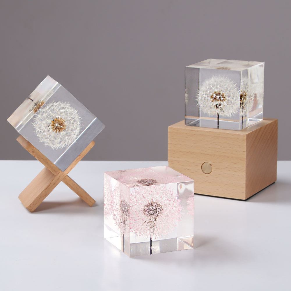 Flower Preservation Resin - الهندباء الحفاظ على الزهور الطازجة والزهور