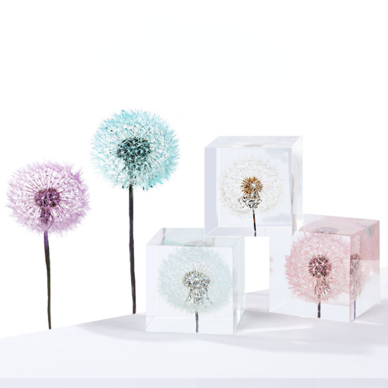 الهندباء الحفاظ على الزهور الط - مراجعة Flower Preservation Resin وسعره
